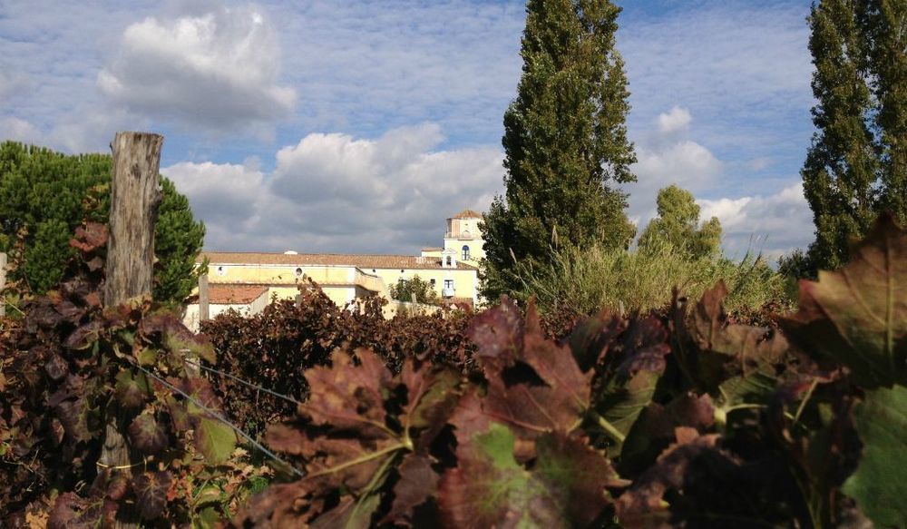 Masseria La Morella Bellizzi Exterior photo